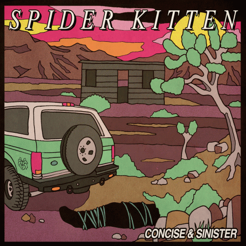 Spider Kitten : Concise & Sinister